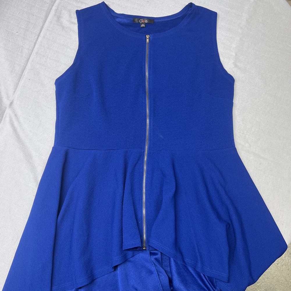 Cleo Blue Sleeveless Fit and Flare Top